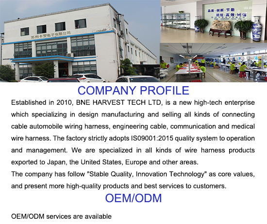Customized Wire Harness and Cable Assembly Manufacturer China
