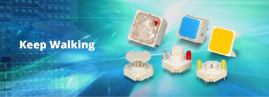 Slide Switch for Sensor Alarm (SL)