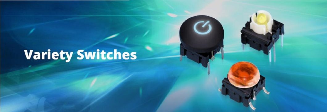 Slide Switch for Video Product (TS-13)