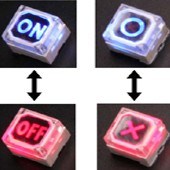 Long Life Times Key Switch with LEDs