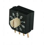 SGS Electronical Change-Over Rotary Switch (RR31013)